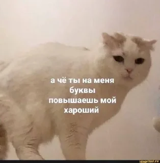 Стикер Больше стикеров 👉🏻 @stickertg4 - 1