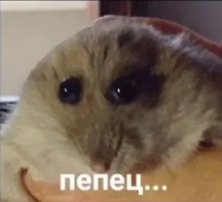 Стикер 💕Стики тут: @sekstick - 6