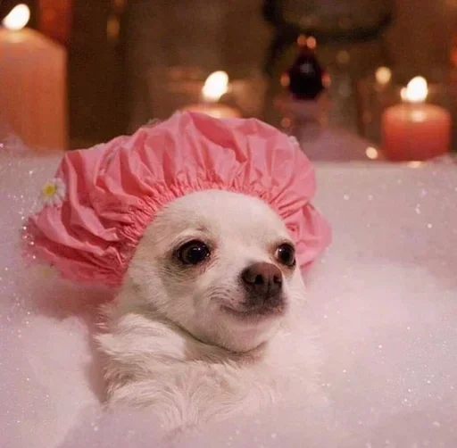 Больше стиков тут: @stikery4 - 