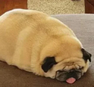 Sticker Больше стиков тут: @stikery4 - 7