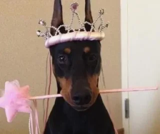 Sticker Больше стиков тут: @stikery4 - 2