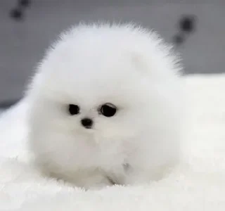 Sticker Больше стиков тут: @stikery4 - 4