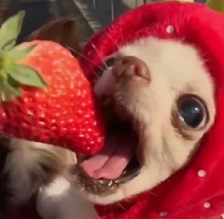 Sticker Больше стиков тут: @stikery4 - 9