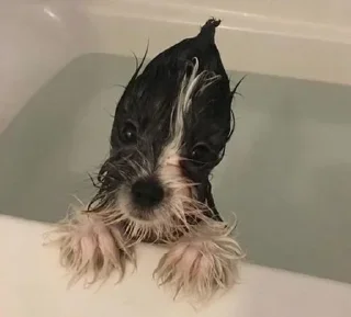 Sticker Больше стиков тут: @stikery4 - 1