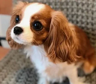 Sticker Больше стиков тут: @stikery4 - 11