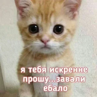 Стикер @stiki_tg_nah_canal - 11