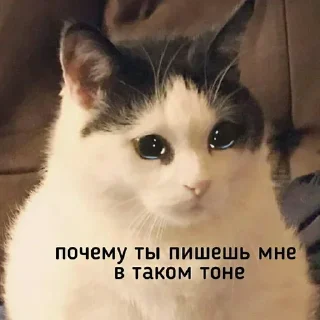 Стикер @stiki_tg_nah_canal - 10