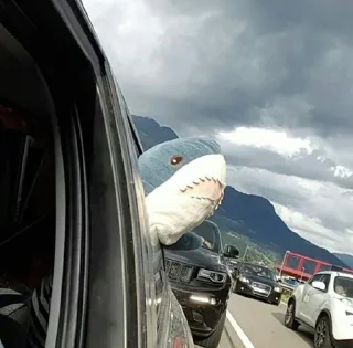 Стикер Больше стиков тут: @stikery4 - 6