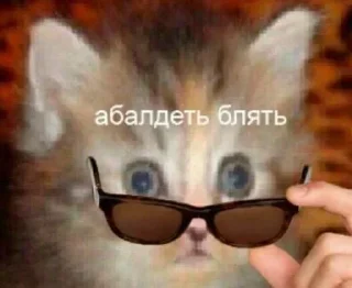 Стикер Больше стикеров: @sticerru - 8