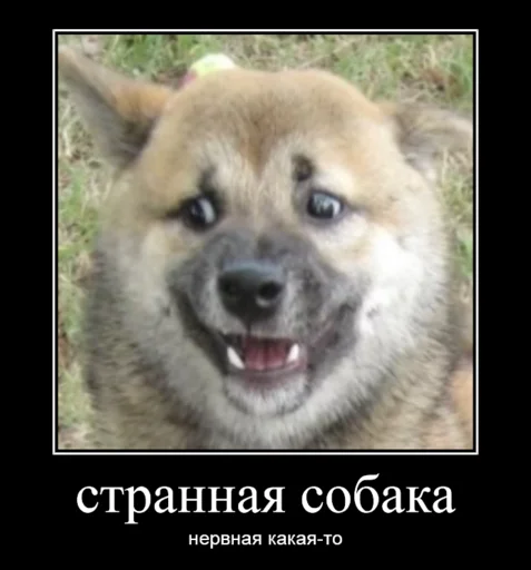 Стикер секундное дело - 8