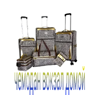 Стикер 🦦🦦🦦 - 4