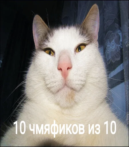 Sticker qcontrol01 - 1