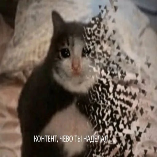 Sticker Передаём за проезд - 10