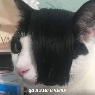 Sticker Передаём за проезд - 7