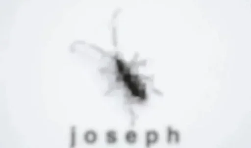 Больше стикеров 👉🏻 @stickertg4 - 