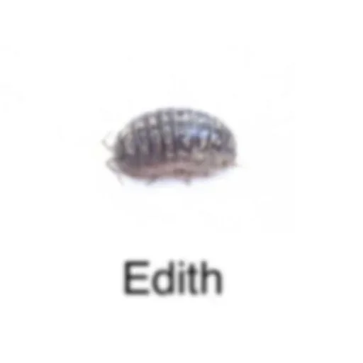 Sticker qdKivd_by_stickers_stealer_bot - 1