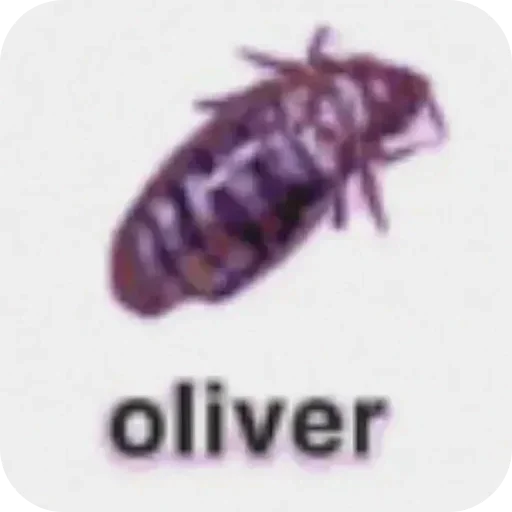 Sticker qdKivd_by_stickers_stealer_bot - 1