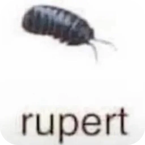 Sticker qdKivd_by_stickers_stealer_bot - 1