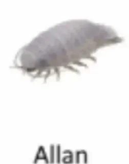 Sticker Больше стикеров 👉🏻 @stickertg4 - 8