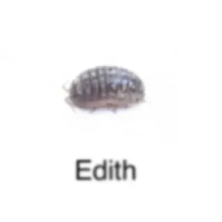 Sticker Больше стикеров 👉🏻 @stickertg4 - 11