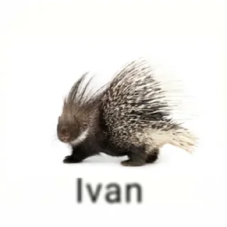 Стикер ваня pisya by @stqrapp - 4