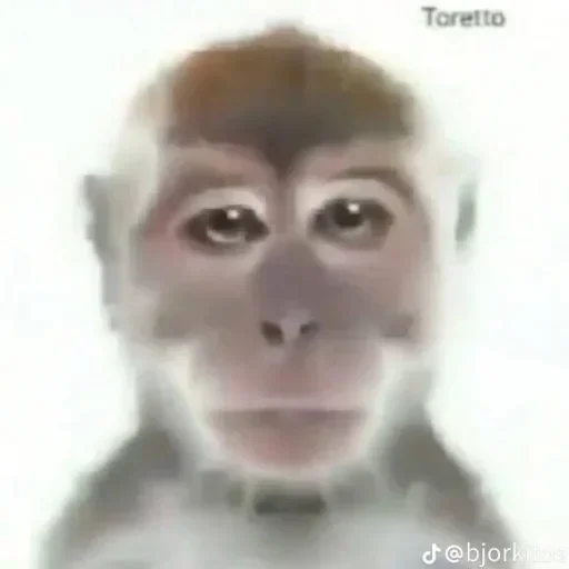 Sticker qhAJrPYhEPvxFwm_by_stickers_stealer_bot - 1