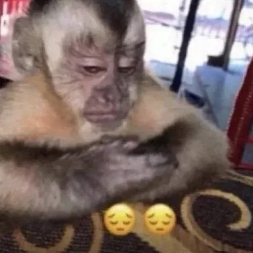 Sticker qhAJrPYhEPvxFwm_by_stickers_stealer_bot - 1