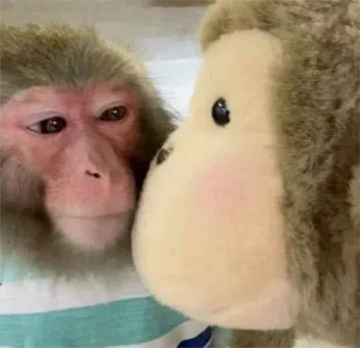 Sticker qhAJrPYhEPvxFwm_by_stickers_stealer_bot - 1