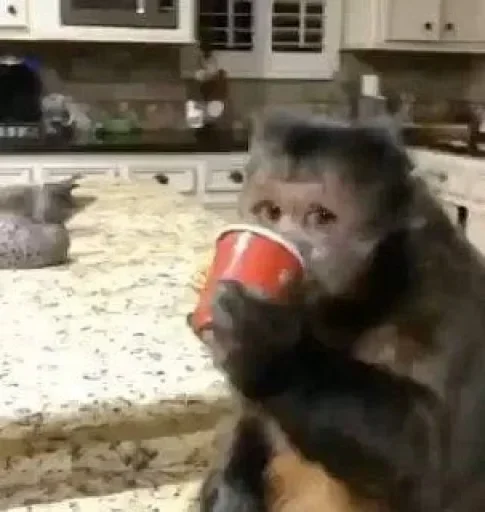 Sticker qhAJrPYhEPvxFwm_by_stickers_stealer_bot - 1