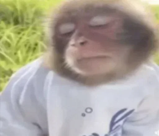 Sticker qhAJrPYhEPvxFwm_by_stickers_stealer_bot - 1