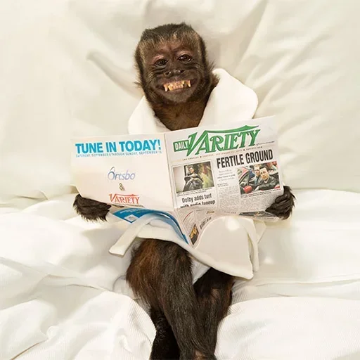 Sticker qhAJrPYhEPvxFwm_by_stickers_stealer_bot - 1