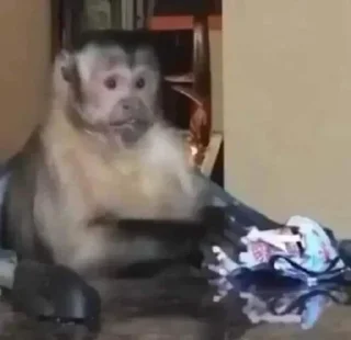 Sticker @stiki_tg_nah_canal - 1