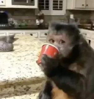 Sticker @stiki_tg_nah_canal - 5