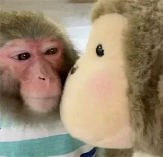 Sticker @stiki_tg_nah_canal - 7