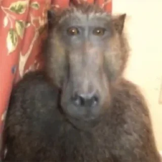 Sticker @stiki_tg_nah_canal - 9