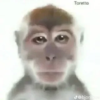 Sticker @stiki_tg_nah_canal - 11