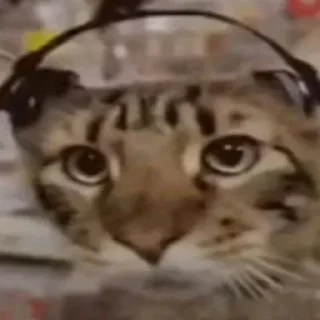 Стикер Больше стиков тут: @stikery4 - 8