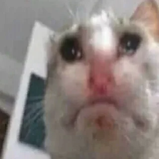 Стикер Больше стиков тут: @stikery4 - 1