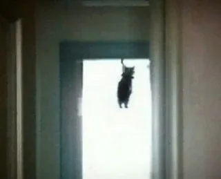 Стикер Больше стиков тут: @stikery4 - 5