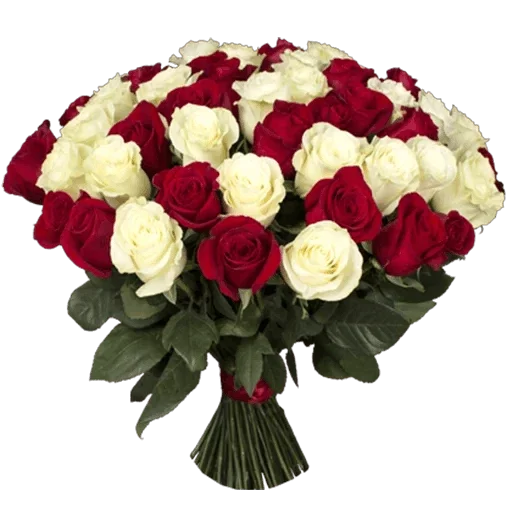 Sticker qjp_FbfCjv_by_sticker0015Bot - 1