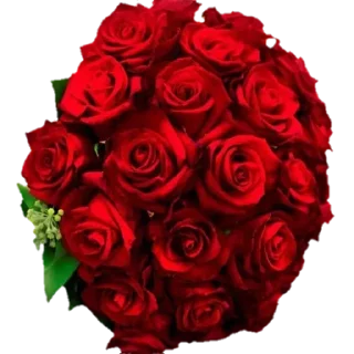 Стикер qjp_FbfCjv - 1