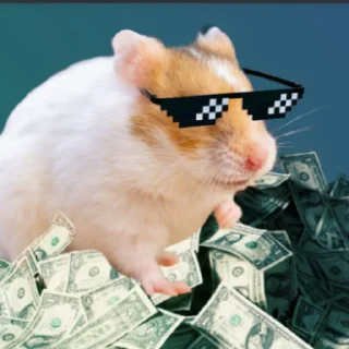 Стикер QMall Stickerpack - 10