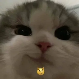 Стикер 🥣 - 6