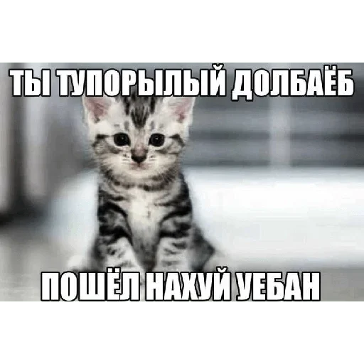 Sticker qsXQcrAZOGiKmrk_by_stickers_stealer_bot - 1