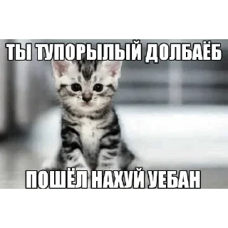 Стикер Больше стикеров 👉🏻 @stickertg4 - 3