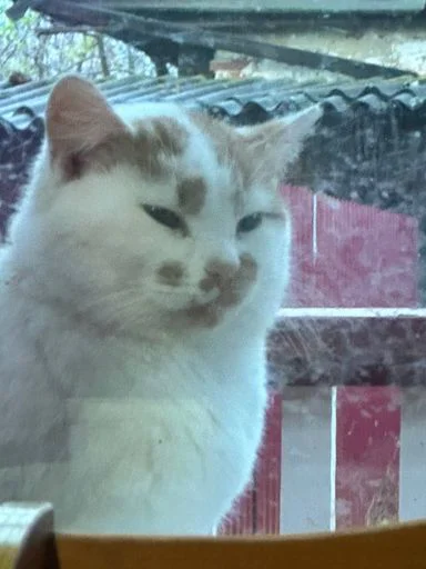 Sticker qskqiw_by_GoStikers_bot - 1