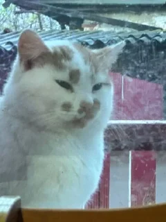 Sticker Больше стиков тут: @gostikers - 3