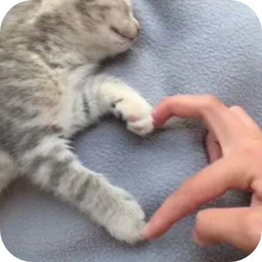 Sticker qtLDxue_by_achestickbot - 1