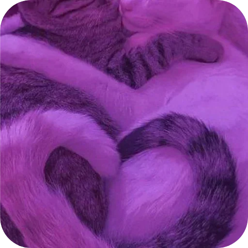 Sticker qtLDxue_by_achestickbot - 1