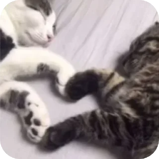 Sticker Больше стиков тут: @stikery4 - 8